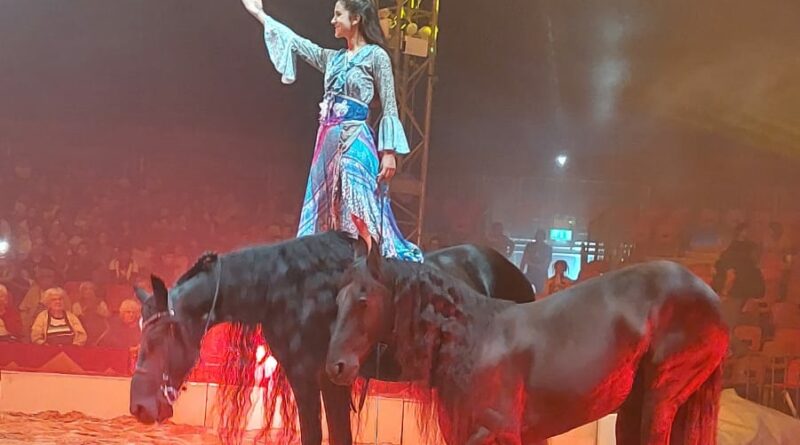 Festival du Cirque de Domont