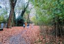 Sortie nature au Parc Sainte-Jeanne